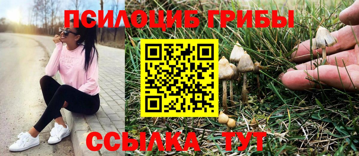 Керчь  Псилоцибиновые грибы ЛСД  купить   Вход с VPN 